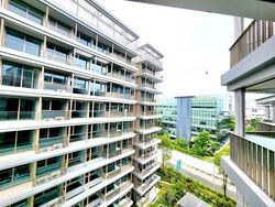 The Reef At King’s Dock (D4), Condominium #438207131